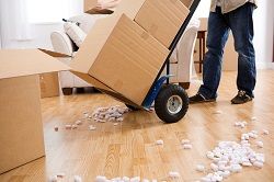 cr0 home relocation